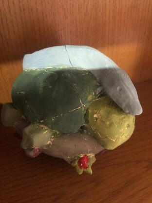 Turtle